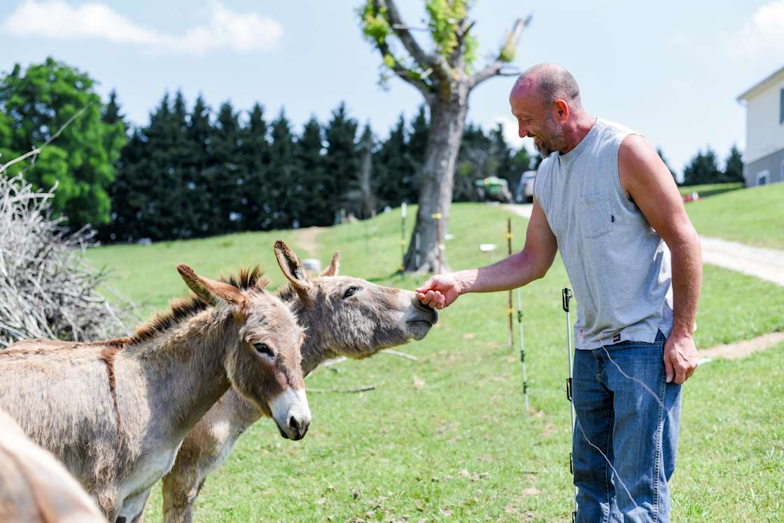 Mountain View Acres Hipcamp in Flat Rock, North Carolina