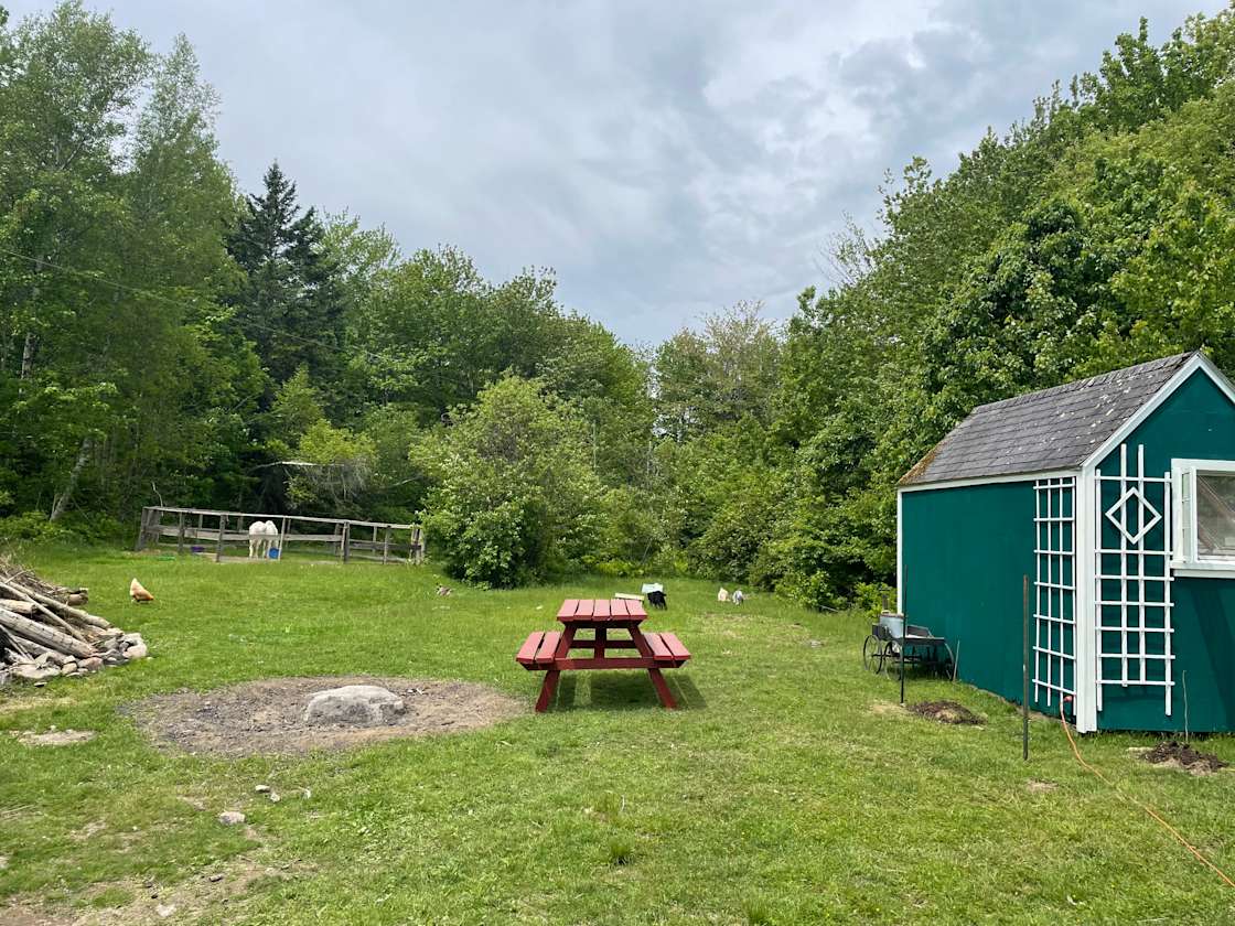 Sun Shed Farm Stay Hipcamp in Milbridge, Maine