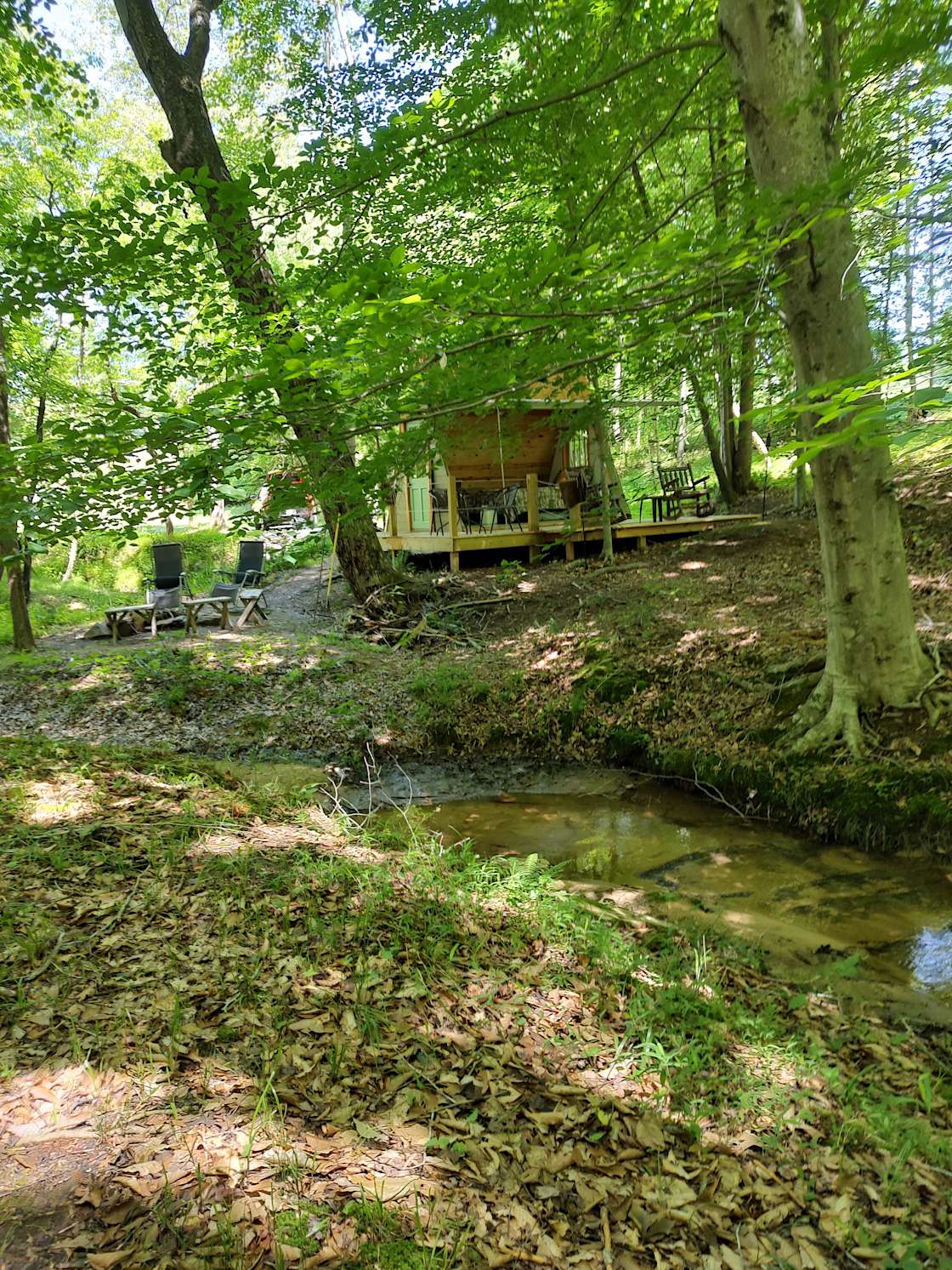 Mystic Meadow Love Shack Hipcamp in Madison, North Carolina