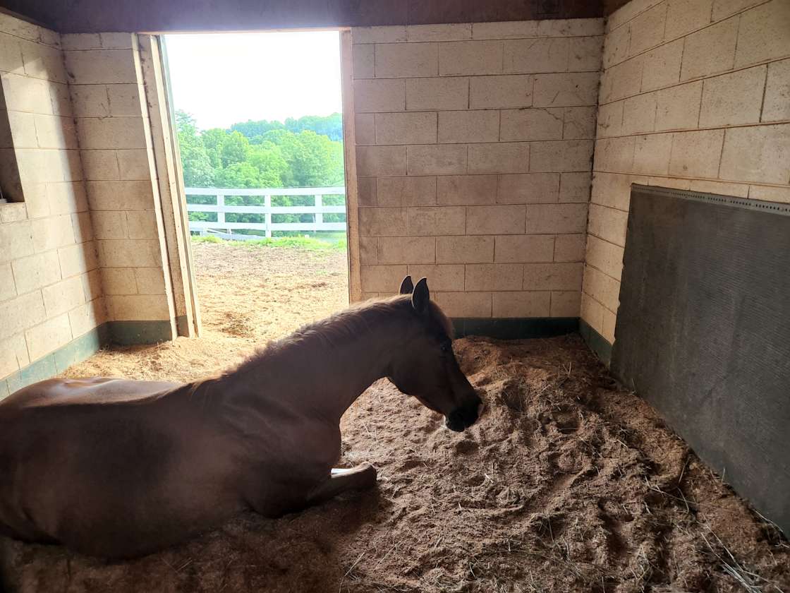 Tent Camping and RV Hipcamp in Hendersonville, North Carolina