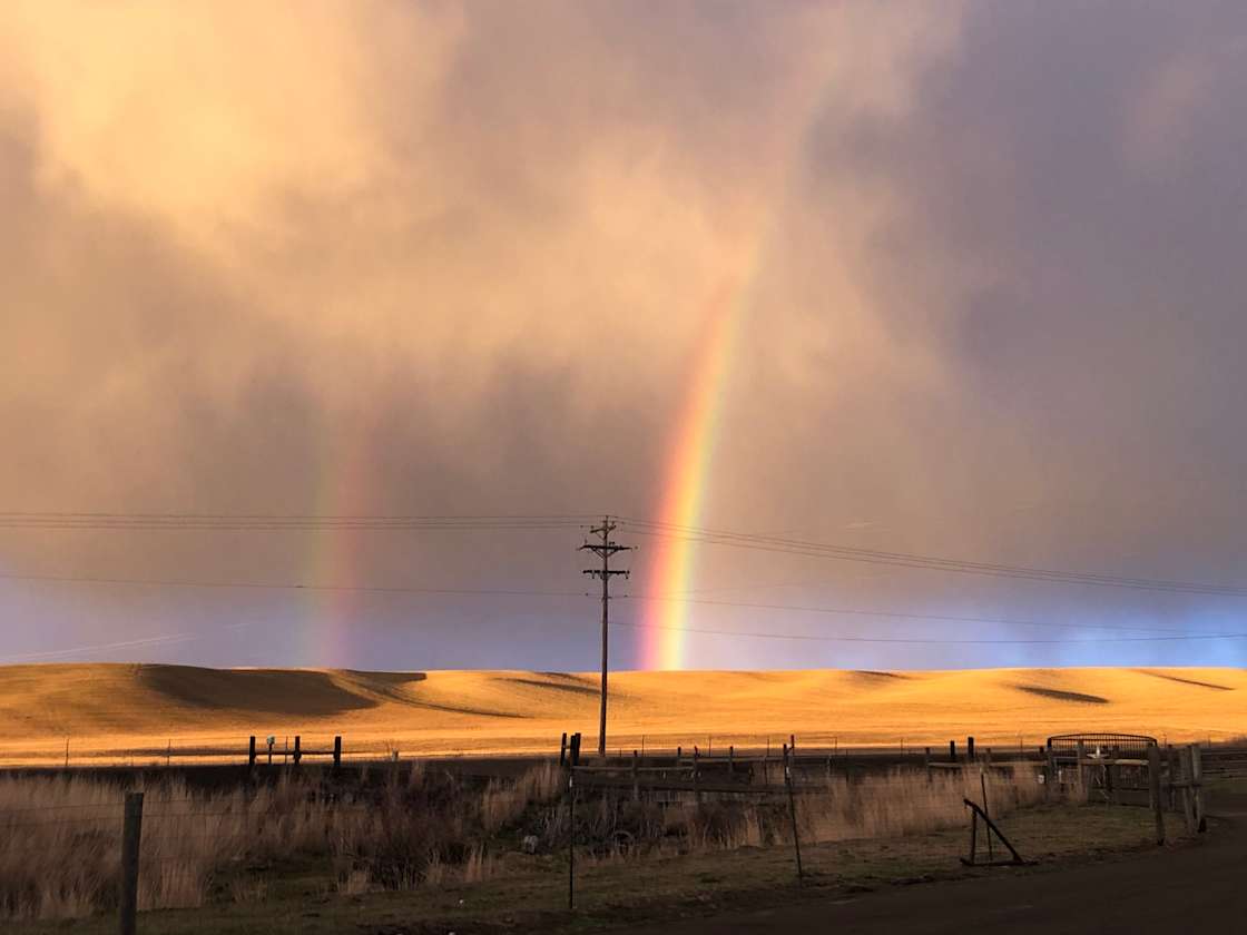 Corbett’s Cow Camp Hipcamp in Touchet, Washington