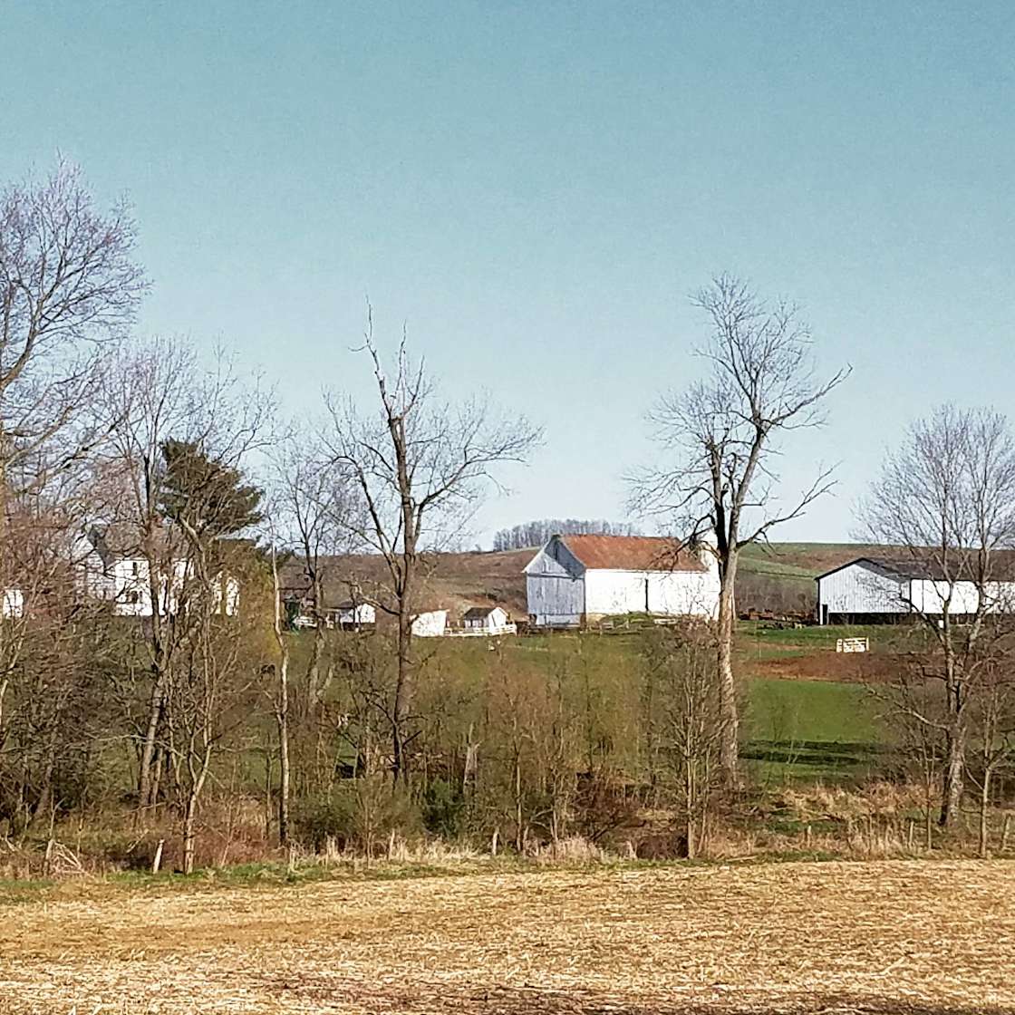 Mapleton Farm & Home Hipcamp in East Canton, Ohio