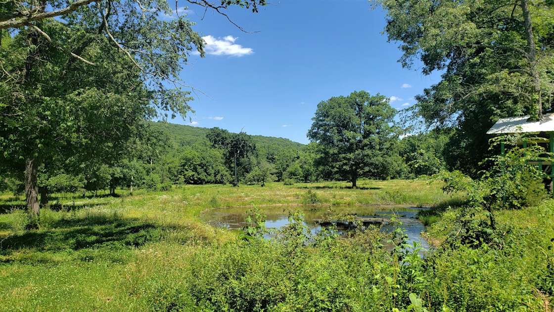 Arcadia Valley BaseCamp Hipcamp in Arcadia, Missouri