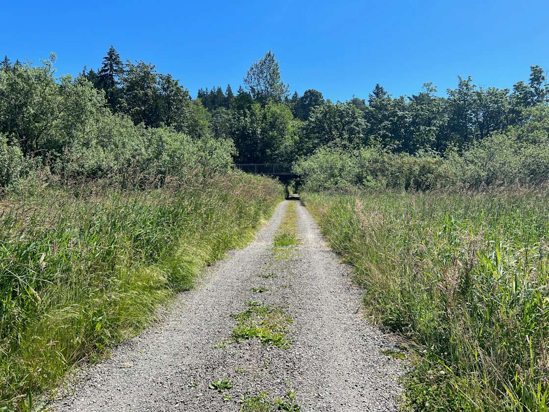 Novelty Hill Farm Hipcamp in Duvall, Washington