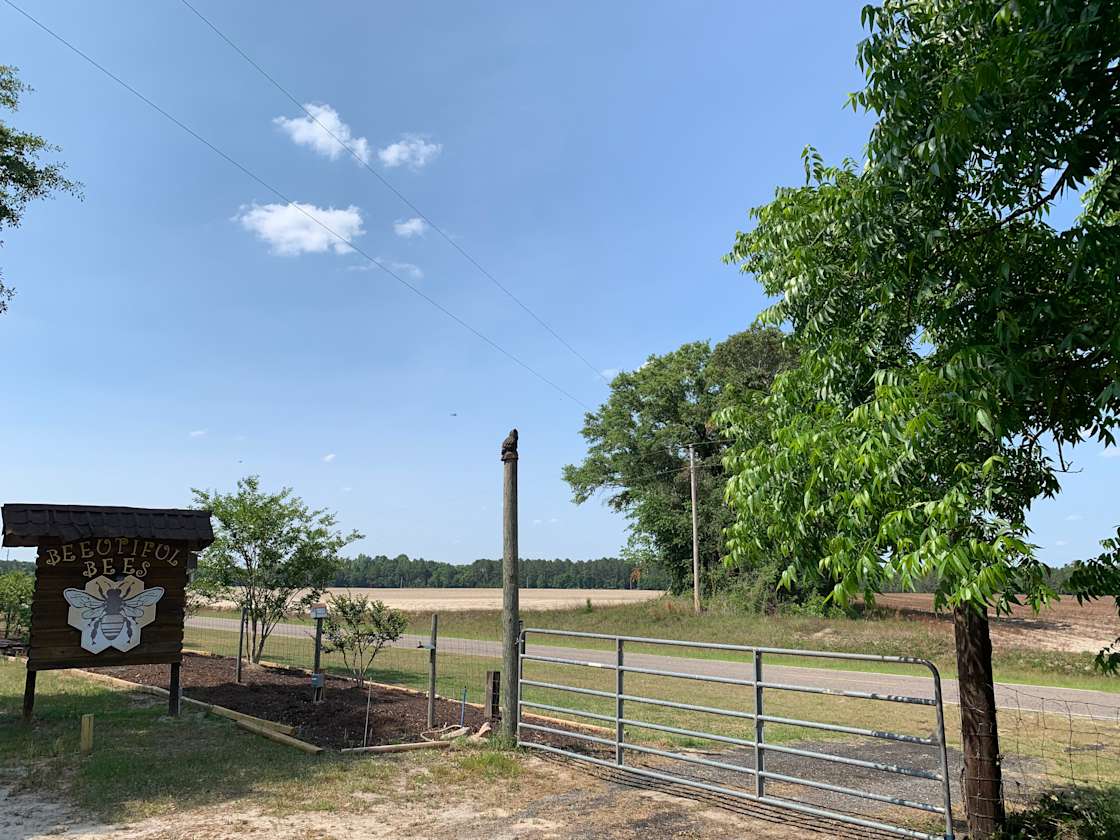 Beefield Apiary Hipcamp in Statesboro,