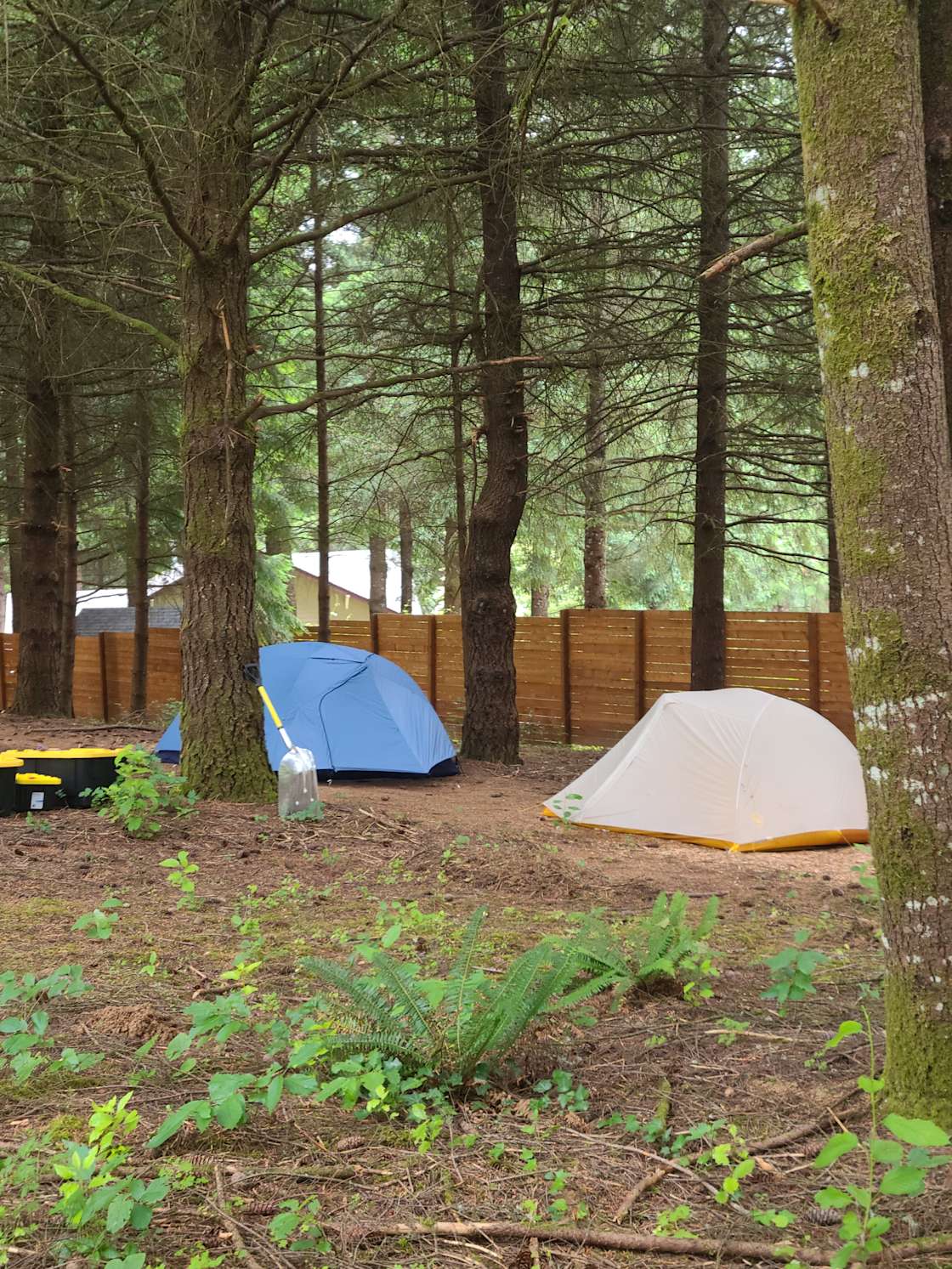 Hagg Lake Home Hipcamp in Gaston, Oregon