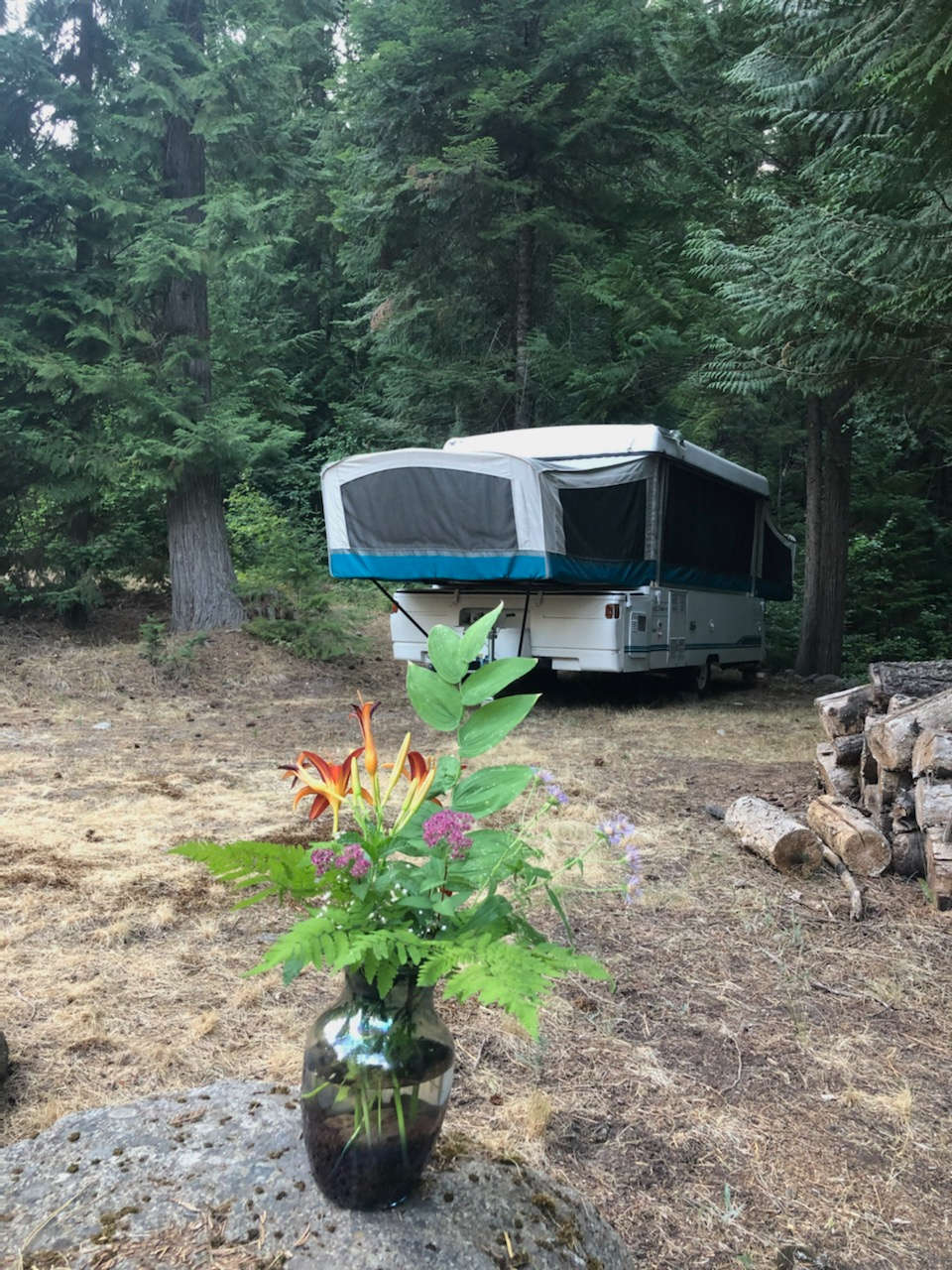 Okiewash Hipcamp in Cusick, Washington