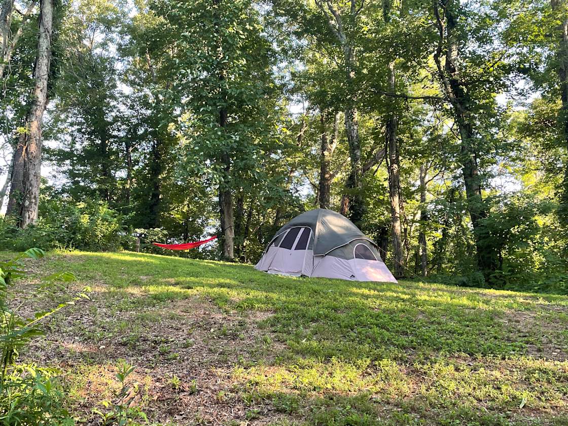 Barnhill Mountain in Fletcher, NC - Hipcamp in Hoopers Creek, North ...