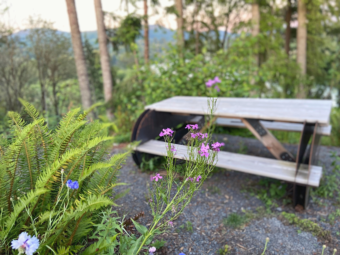 The Lookout at Mayfield Lake Hipcamp in Mossyrock, Washington