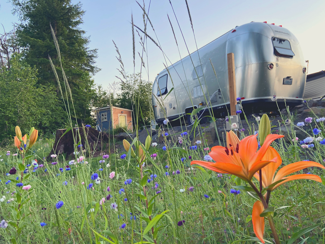 The Lookout at Mayfield Lake Hipcamp in Mossyrock, Washington