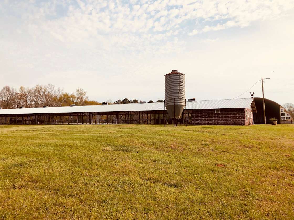 The Farm at Greene Acres Hipcamp in Honea Path, South Carolina