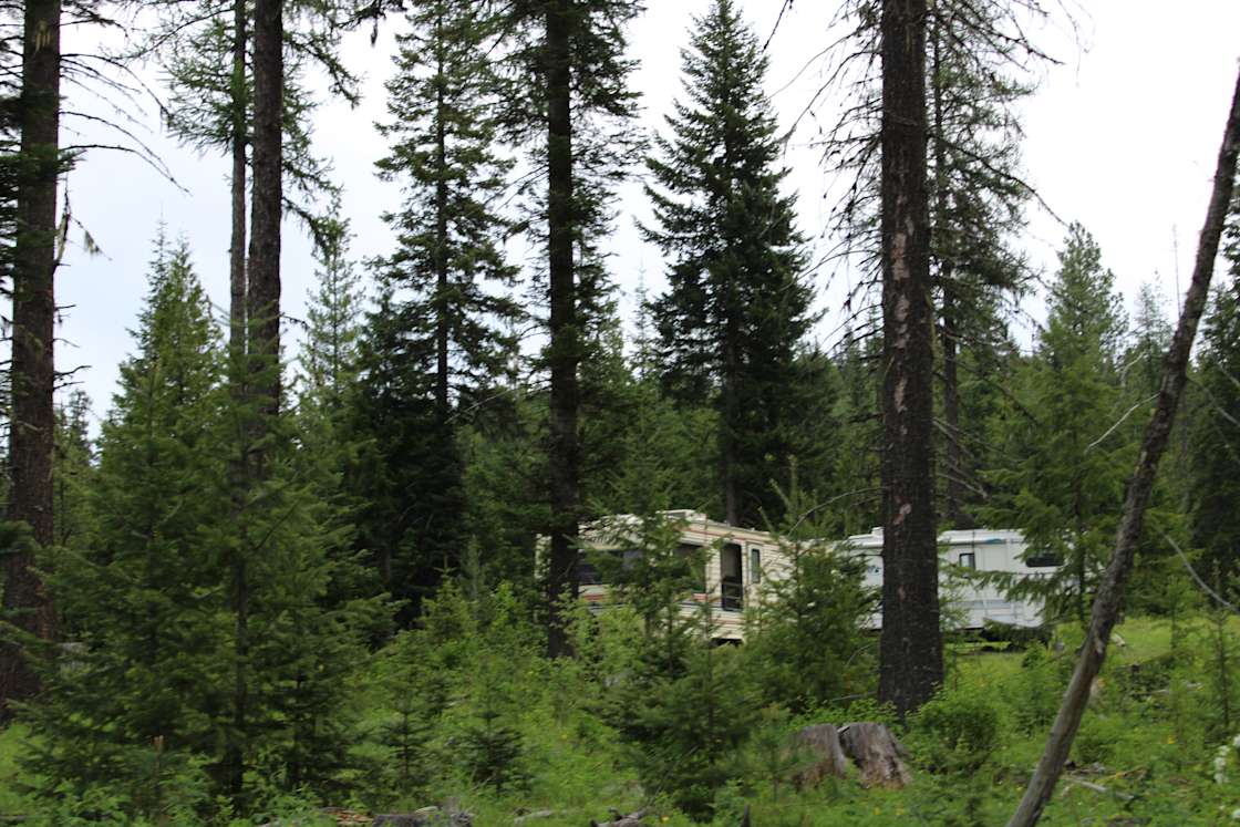 Butterfield Meadows Hipcamp in Elk River, Idaho