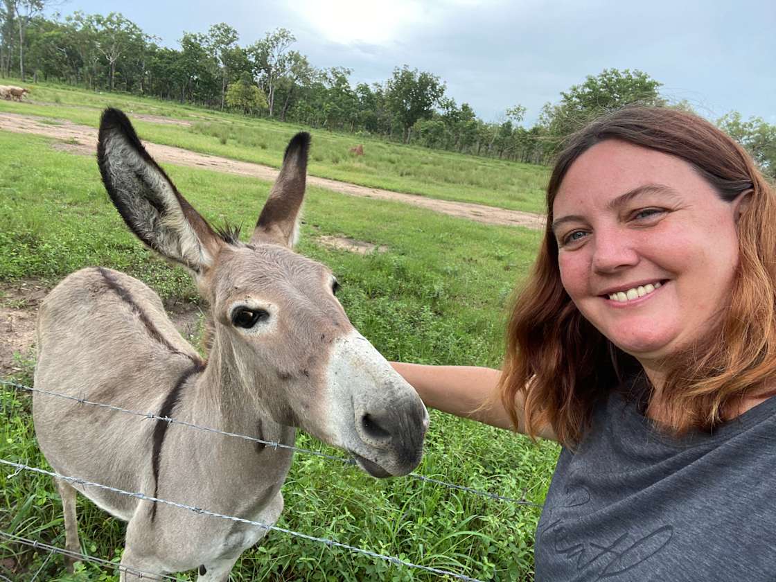 Berry Springs Labush Estate Hipcamp in Berry Springs, Northern Territory
