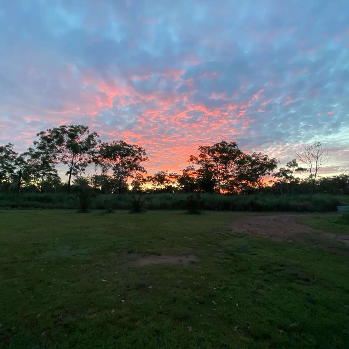 Berry Springs Labush Estate - Hipcamp in Berry Springs, Northern Territory