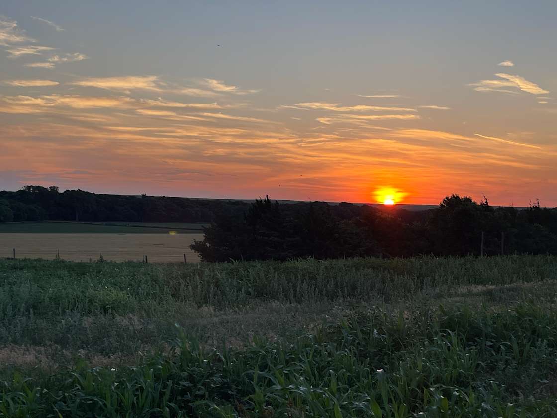Maier Angus Ranch Hipcamp in Natoma, Kansas