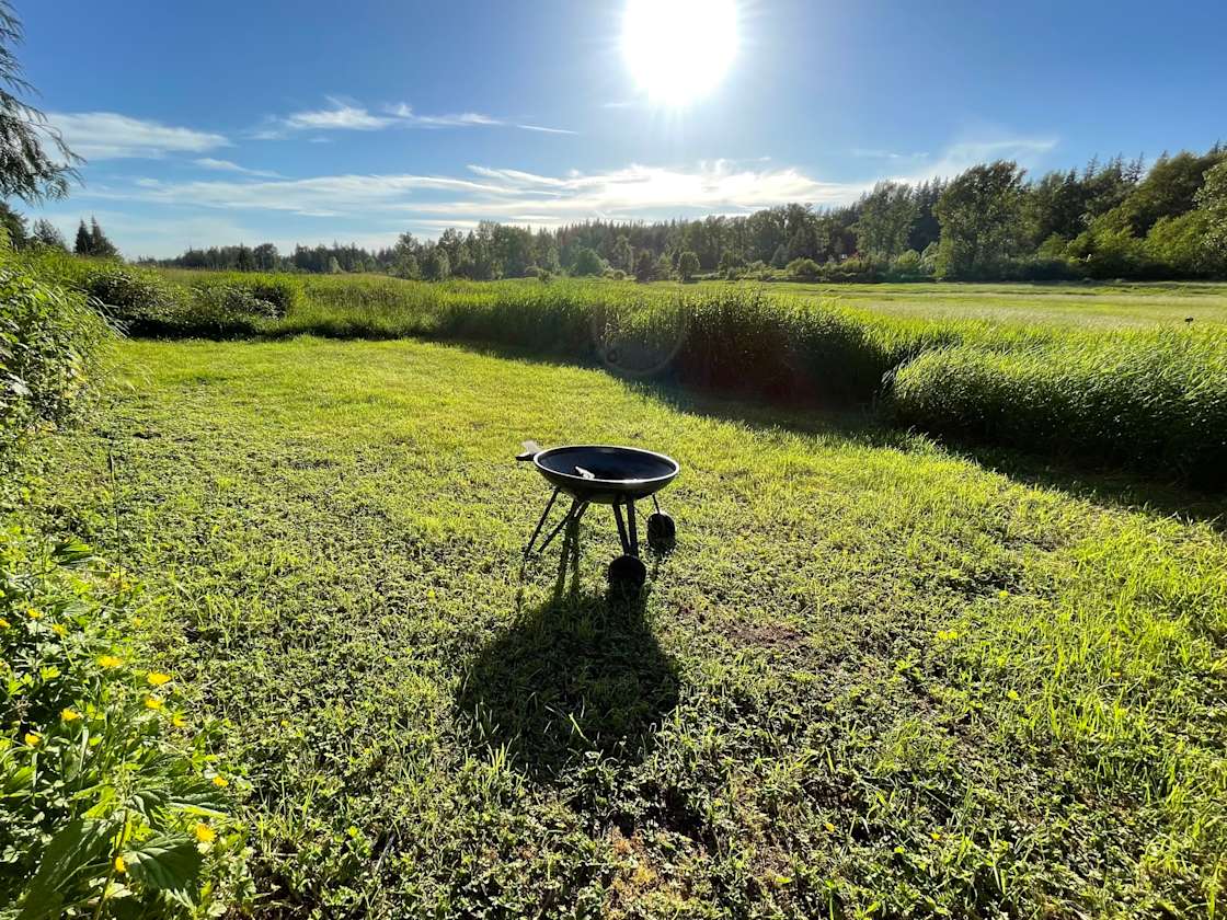 The Farm on Van Wyck Hipcamp in Bellingham, Washington