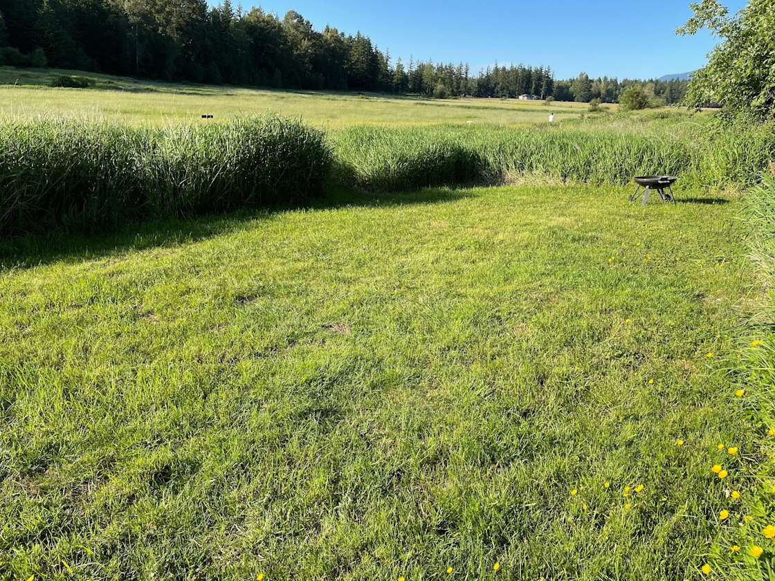 The Farm on Van Wyck Hipcamp in Bellingham, Washington