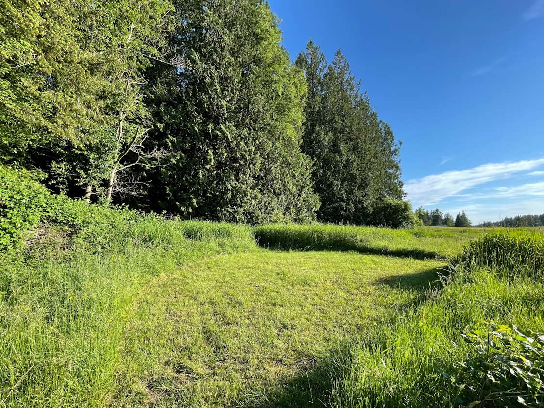 The Farm on Van Wyck Hipcamp in Bellingham, Washington