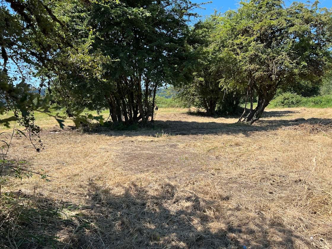 Novelty Hill Farm Hipcamp in Duvall, Washington