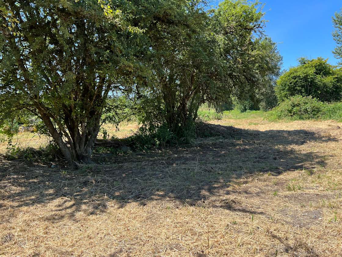 Novelty Hill Farm Hipcamp in Duvall, Washington