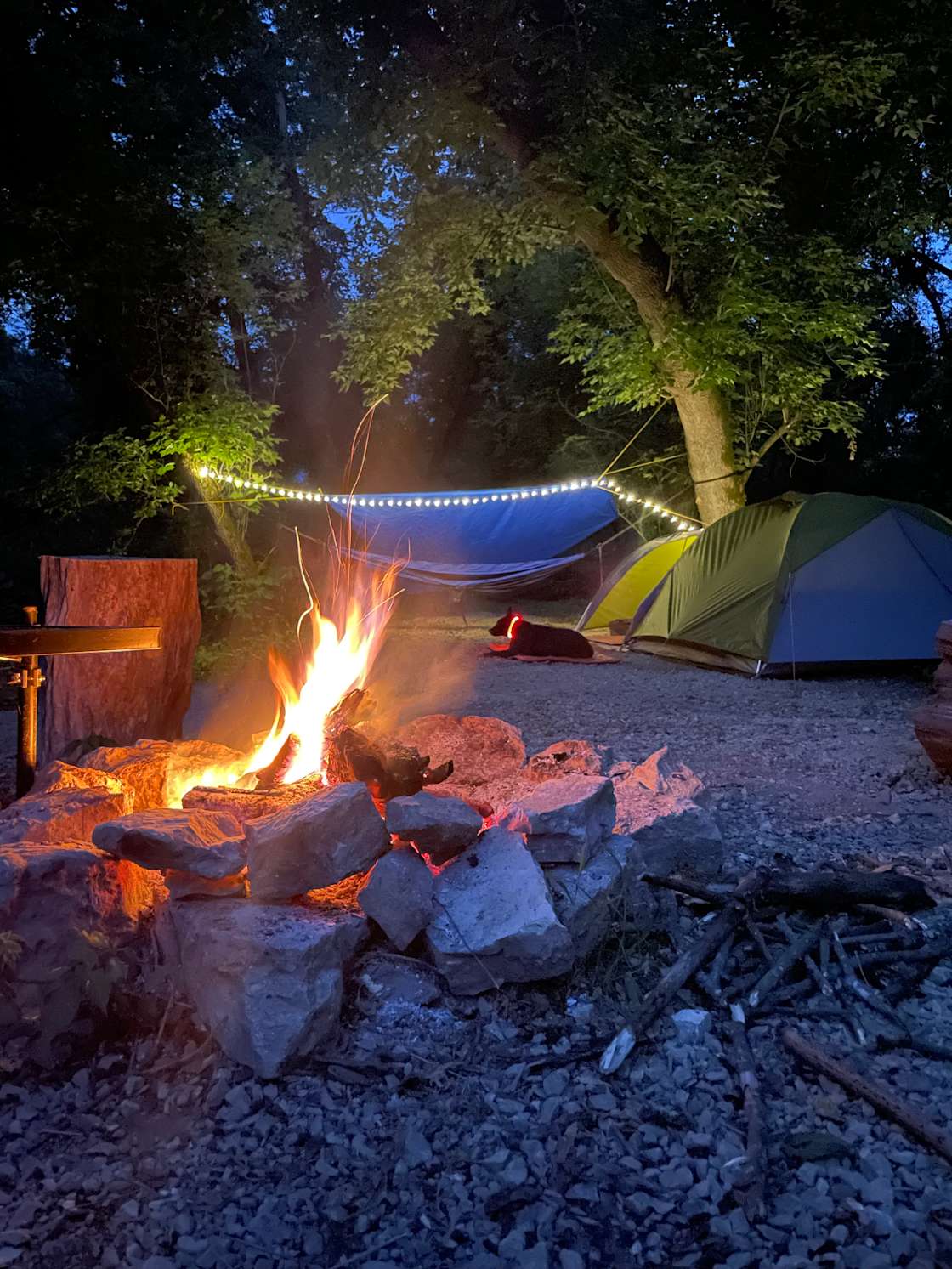 Belle Creek Bluff Hipcamp in Welch, Minnesota