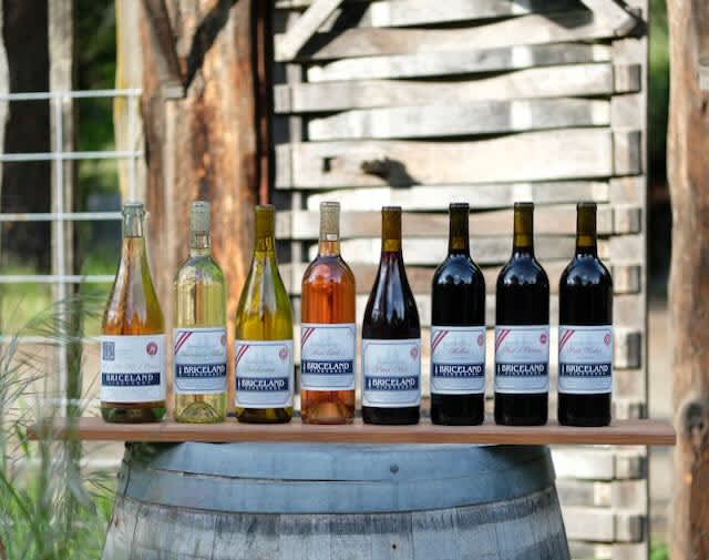 Briceland Vineyards Ranch Hipcamp in Redway, California