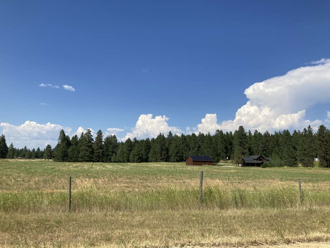 Pine Cone Ranch - Hipcamp in Kalispell, Montana