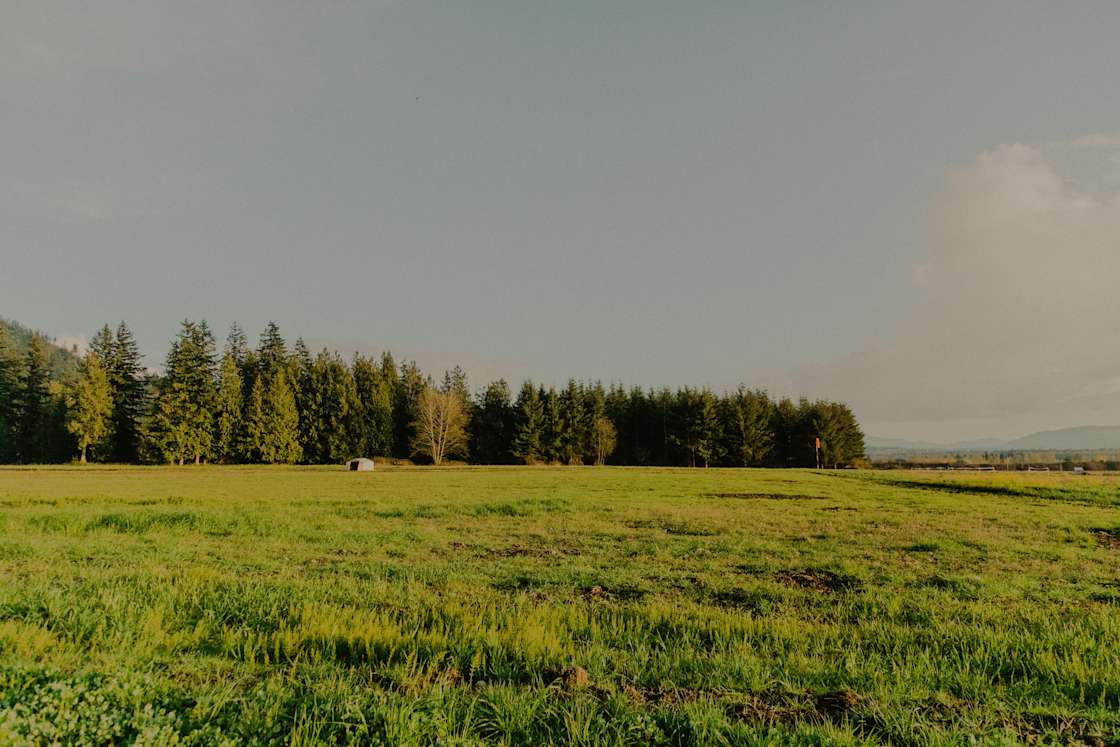 Alluvial Farms Hipcamp in Everson, Washington