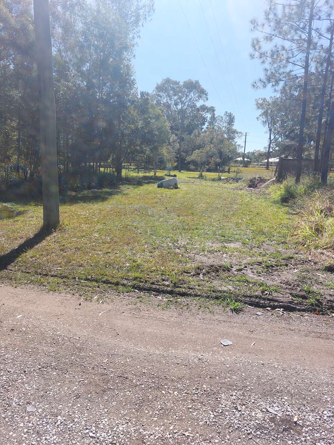 Cottrells on Pumicestone Hipcamp in Caboolture, Queensland