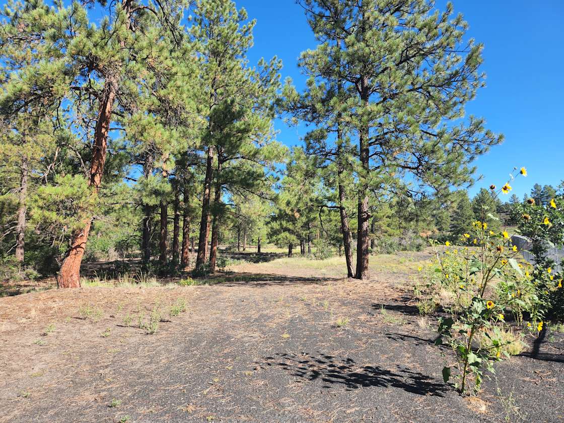 The Mountain Goddess Property - Hipcamp in Pagosa Springs, Colorado