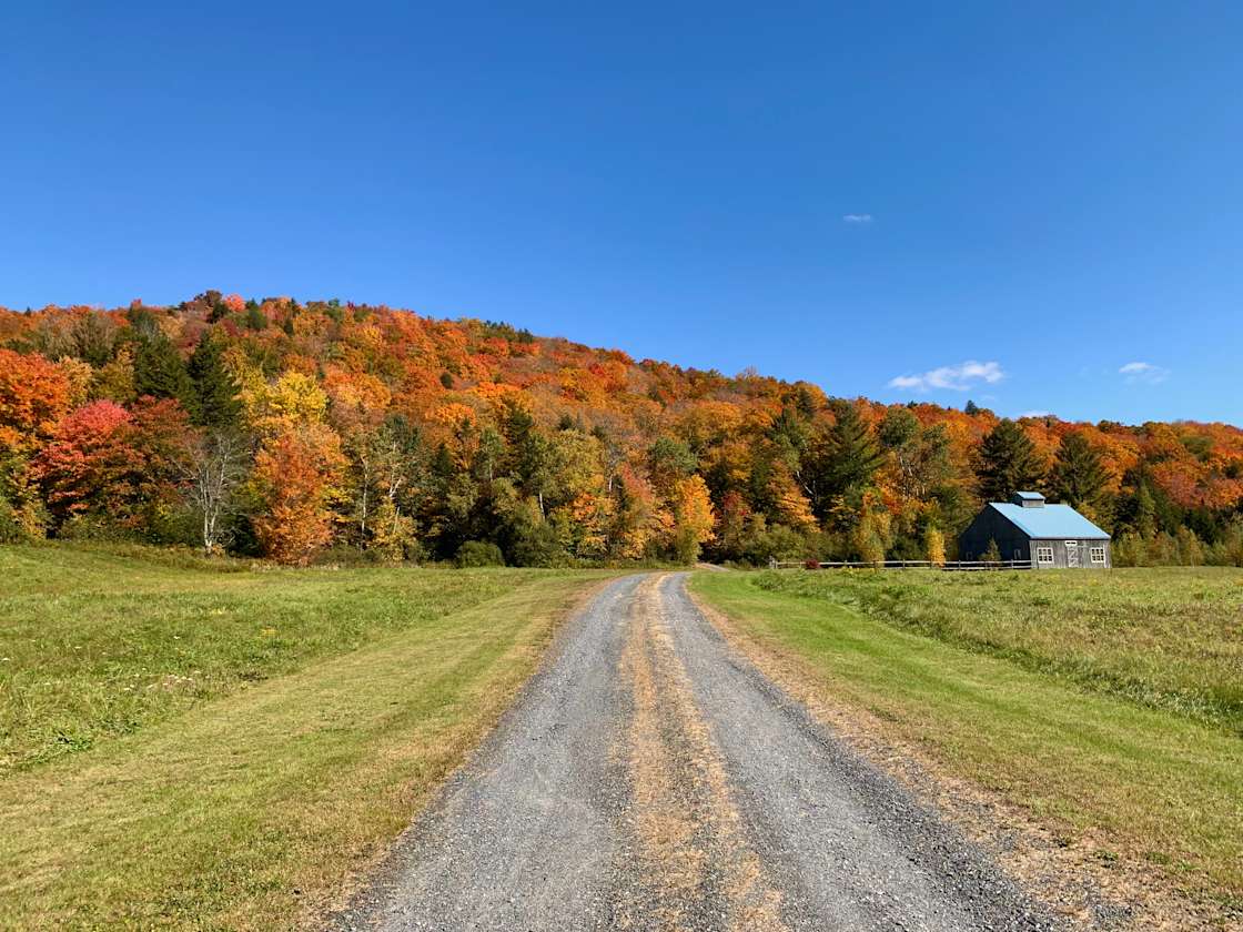 VT Glamping Tent on 30 Acres Hipcamp in Wilmington, Vermont