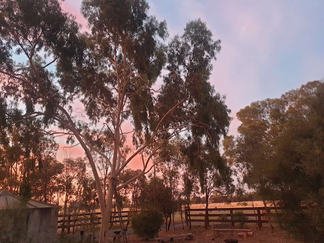 Diggora Warragamba Charm Camping Hipcamp in Echuca, Victoria