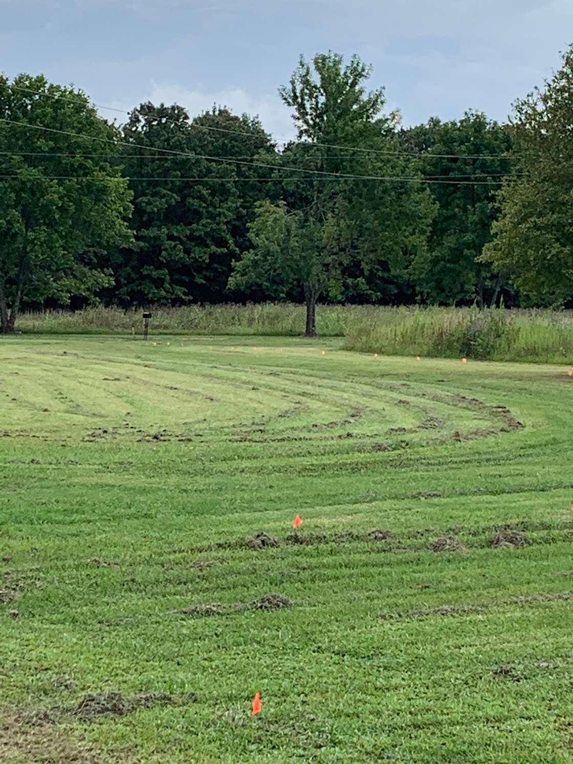 Palmetto camp site Hipcamp in Rayville, Louisiana