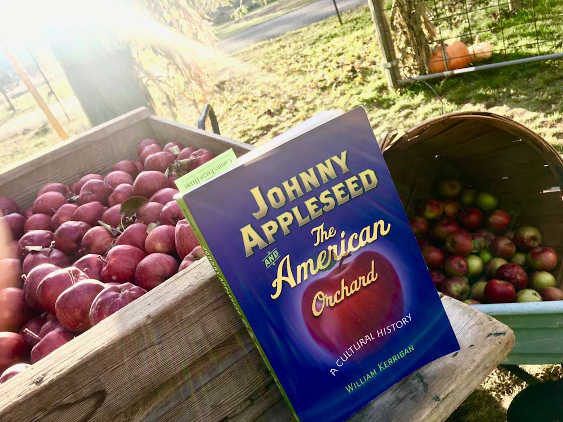 Athol Orchards Antique Apple Farm Hipcamp in Athol, Idaho