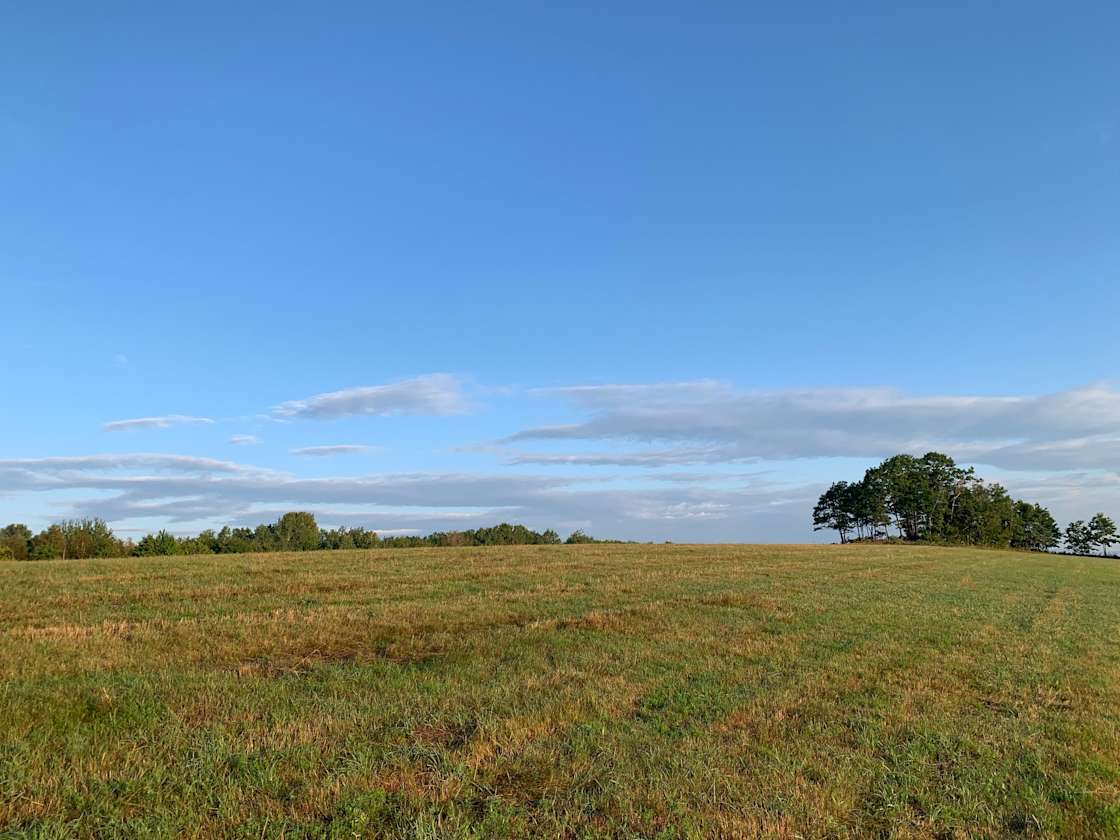 Berry Fruit Farm Hipcamp in Livermore, Maine