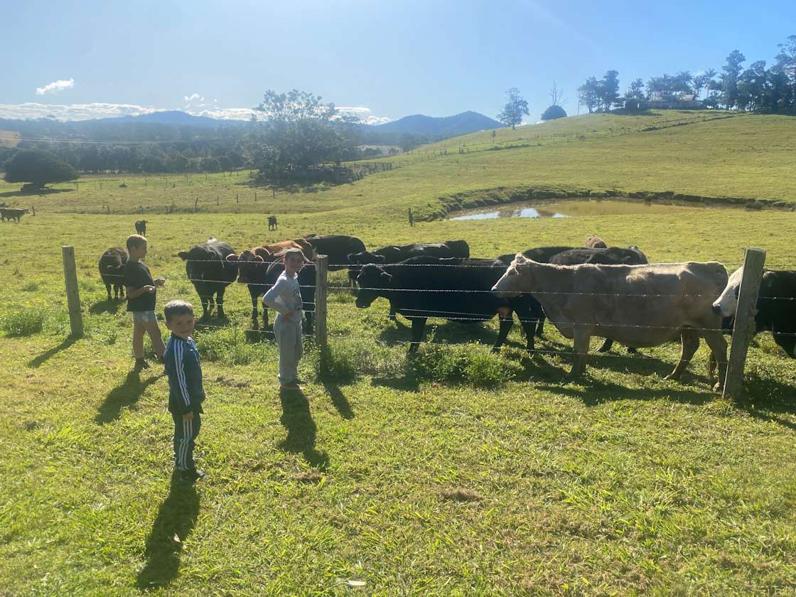 Millicent Farm Hipcamp in North Macksville, New South Wales