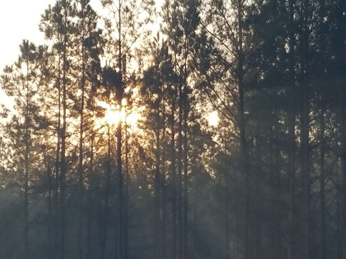 Davisboro Campground and RV Privet Hipcamp in Riddleville,