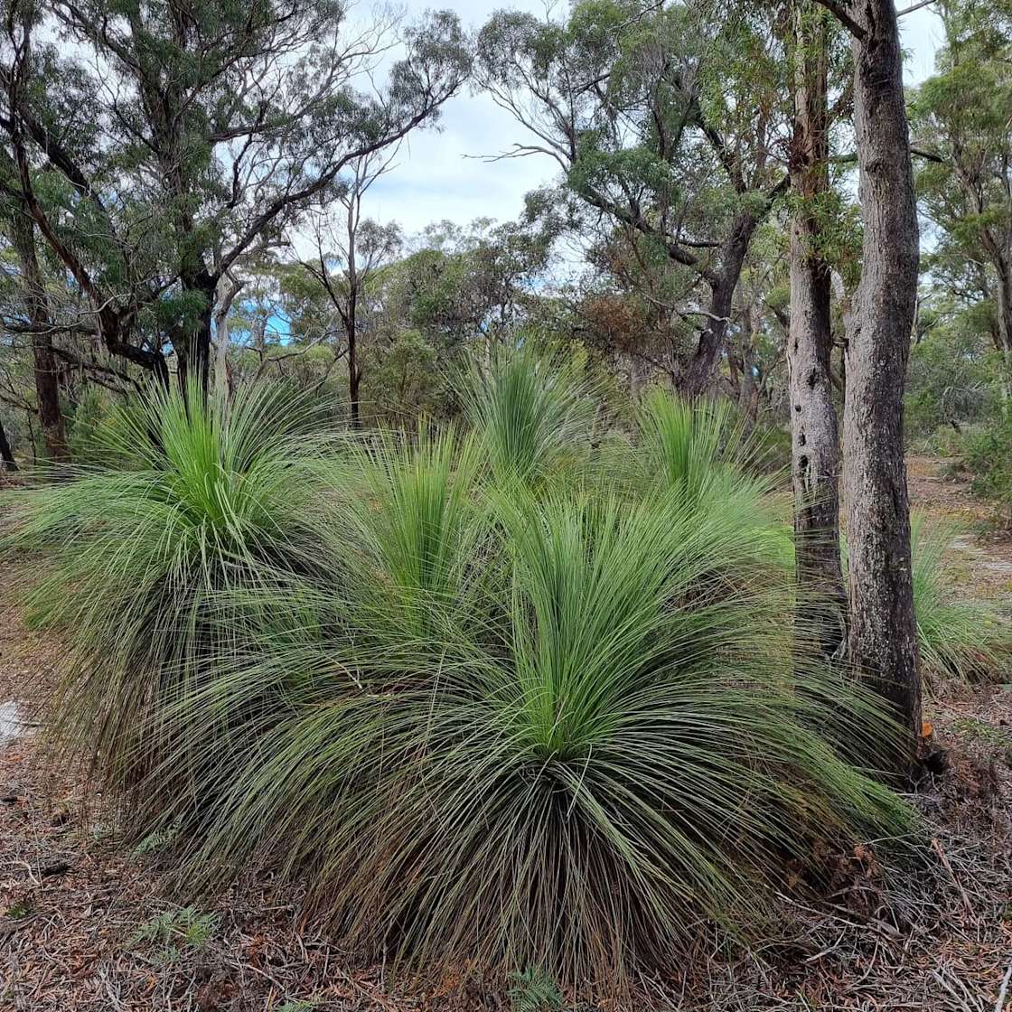 Hillcrest at Gladstone - Hipcamp in Gladstone, Tasmania