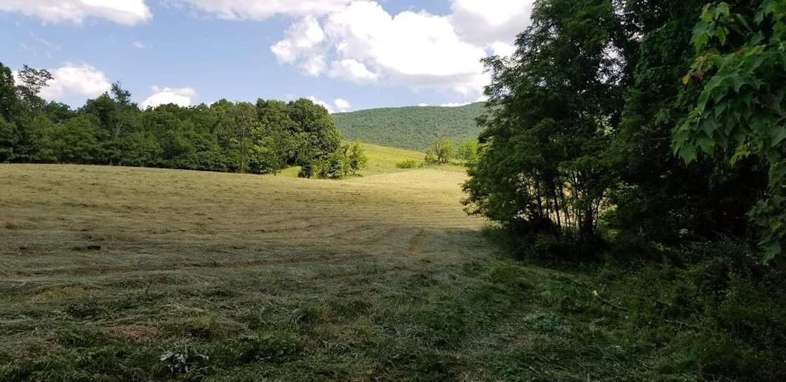 Hippie Heart Haven Hipcamp in Bland, Virginia