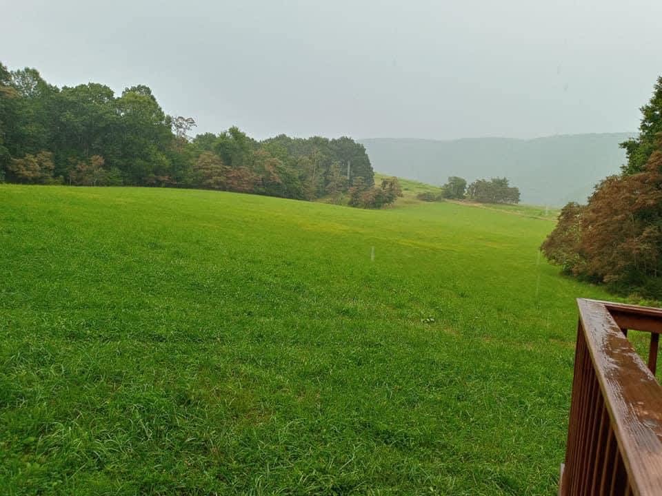 Hippie Heart Haven Hipcamp in Bland, Virginia