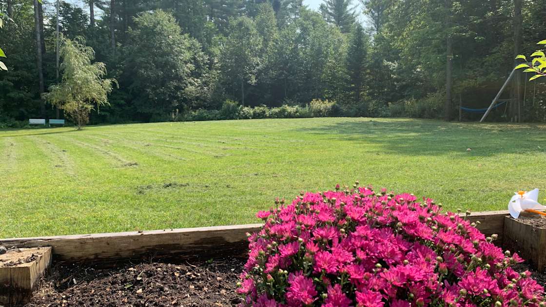 Camping Near Millstone Trails Hipcamp in East Barre, Vermont
