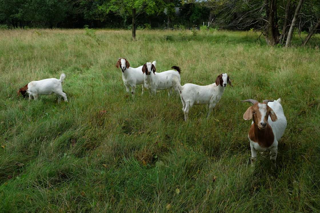Willow River Farm Hipcamp in North Hudson, Wisconsin