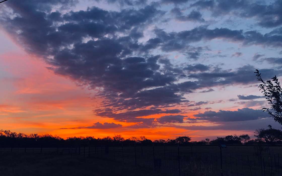 A Starry Night Hipcamp in Potosi, Texas