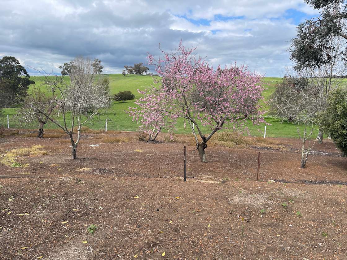 Cloverdale Farm Hipcamp in Bunbury, Western Australia