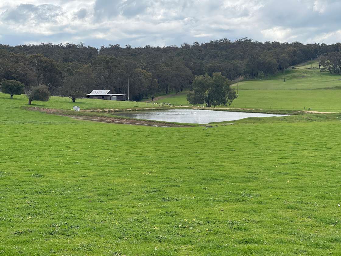 Cloverdale Farm Hipcamp in Bunbury, Western Australia
