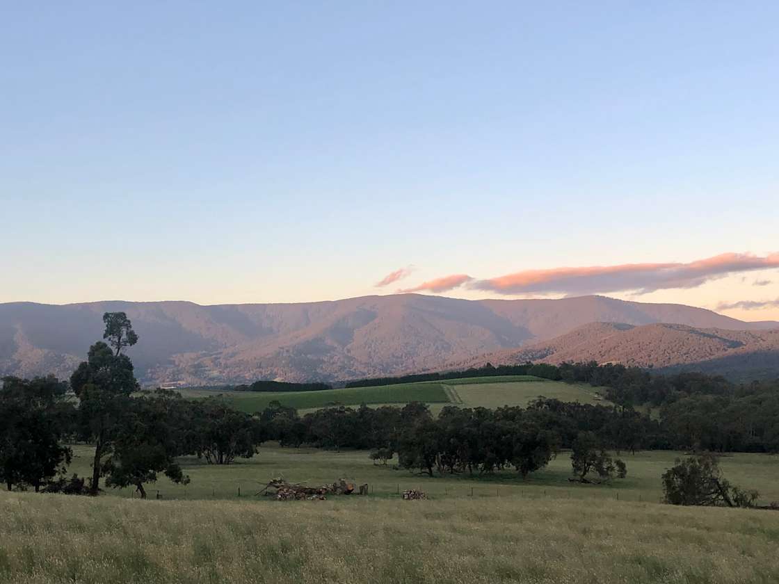 Summerhill Vineyard Hipcamp in Yarra Junction Wesburn, Victoria