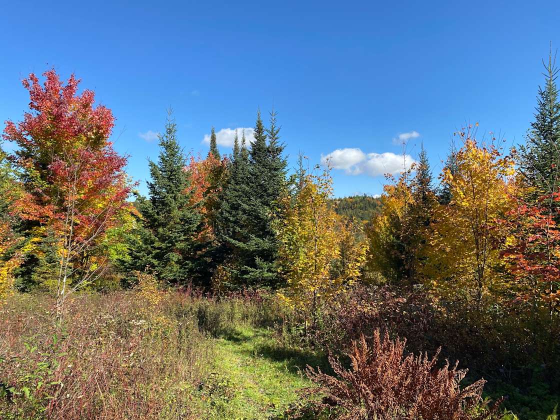 Beach Hill Meadow Hipcamp in West Glover, Vermont