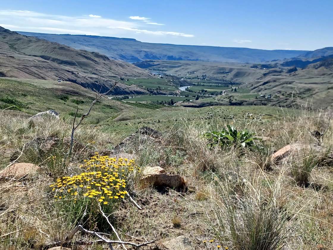 Methow Valley View Property Hipcamp in Methow, Washington