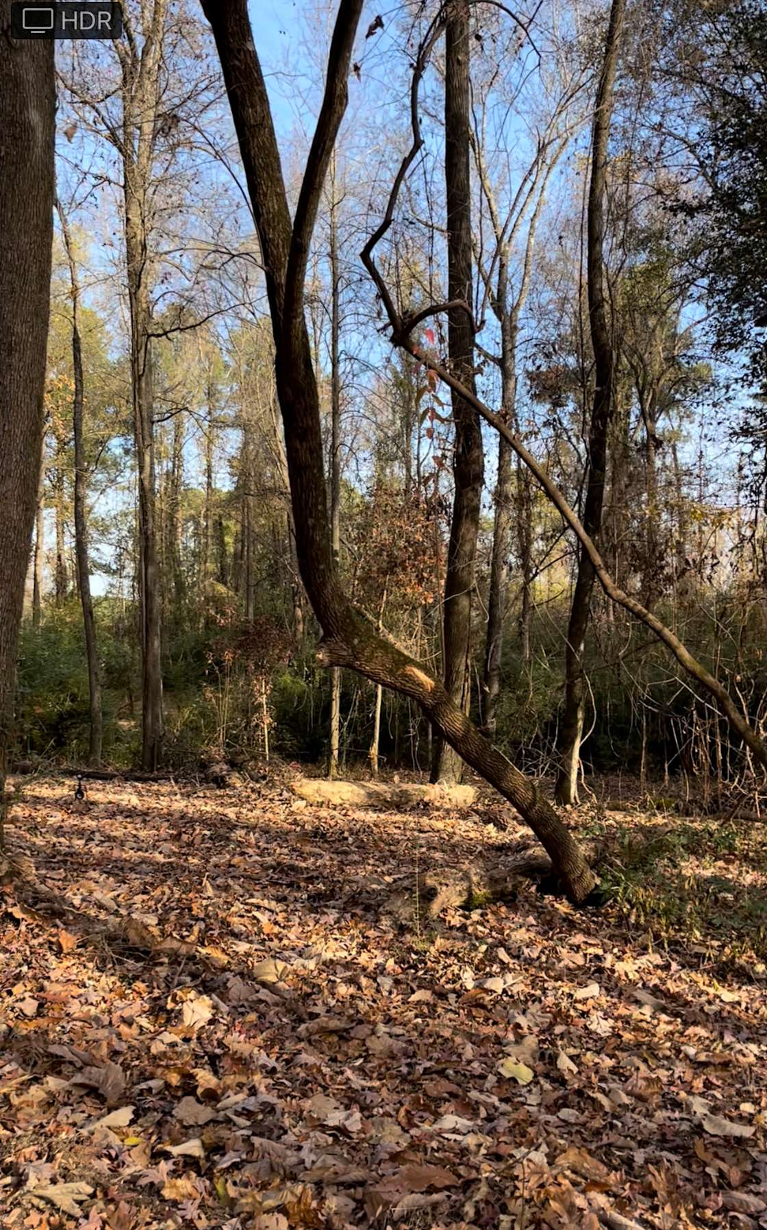 Harts Hidden gem Hipcamp in Snow Hill, North Carolina