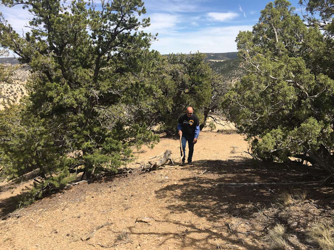 Duchesne County Lookout Earth Camp Hipcamp in Duchesne, Utah
